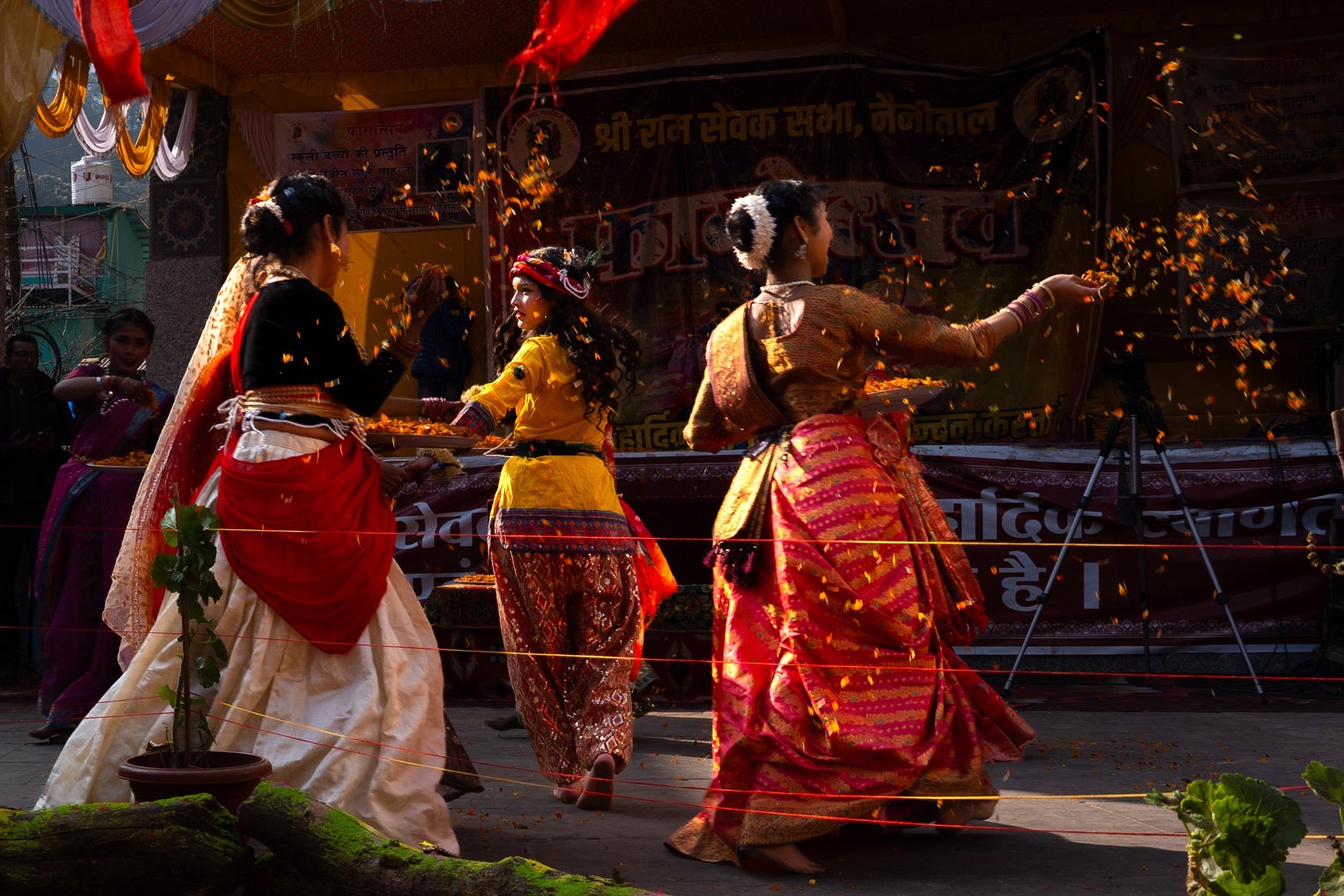 फागोत्सव की फोटोग्राफी प्रतियोगिता में डॉ. मोहित सनवाल प्रथम body image 1